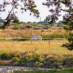 Кемпинг Nature Oleron *