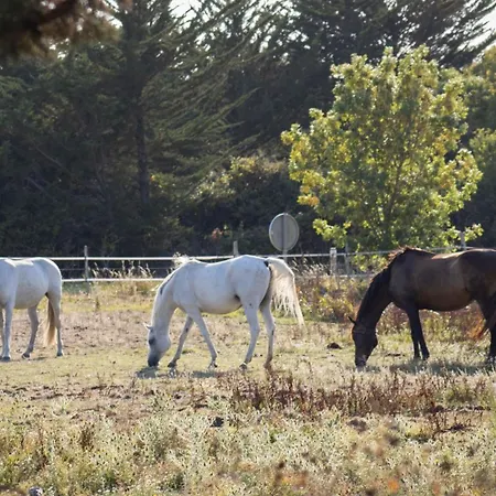 Nature Oleron Кемпинг *