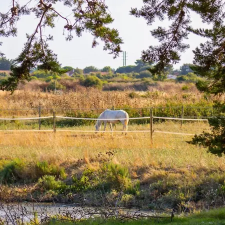 Kemp Nature Oleron *